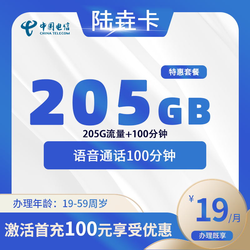 电信陆垚卡【仅发山东】-山东流量卡