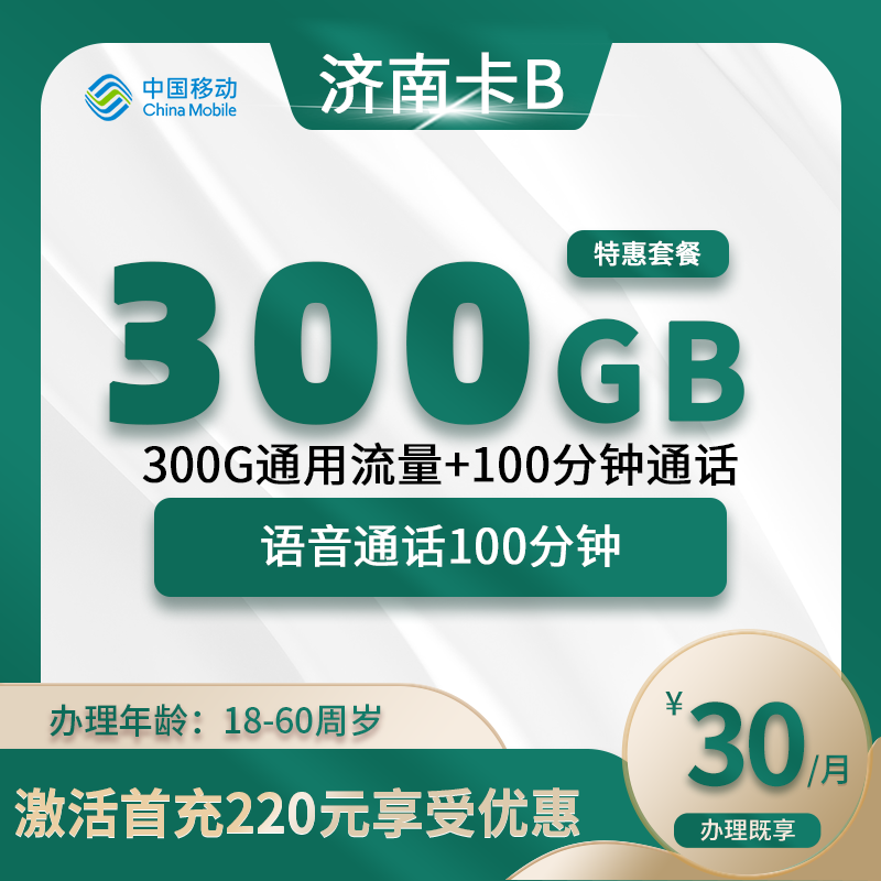 移动济南卡B【仅发济南】-山东流量卡